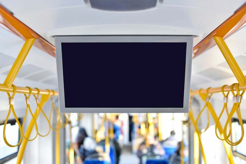 Liability in a Bus Accident