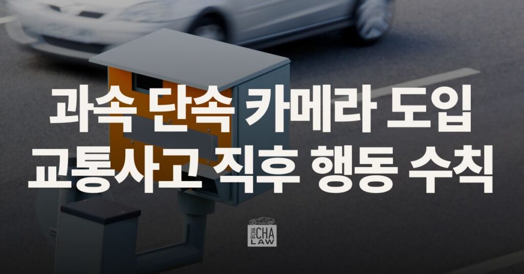 과속 카메라 교통사고